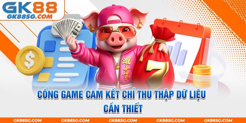 Cổng game cam kết chỉ thu thập dữ liệu cần thiết để tối ưu dịch vụ