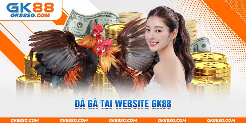 Đá gà kịch tính tại website GK88