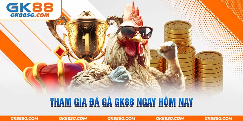 Tham gia đá gà GK88 ngay hôm nay để nhận được nhiều ưu đãi