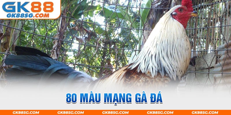 80 màu mạng gà đá