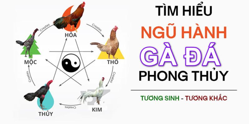 Nguyên tắc tương khắc và tương sinh