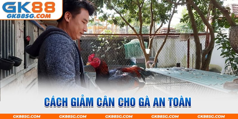 Cách giảm cân cho gà an toàn