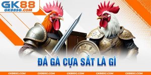 Đá gà cựa sắt là gì